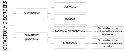 Parosmia and Neurological Disorders: A Neglected Association